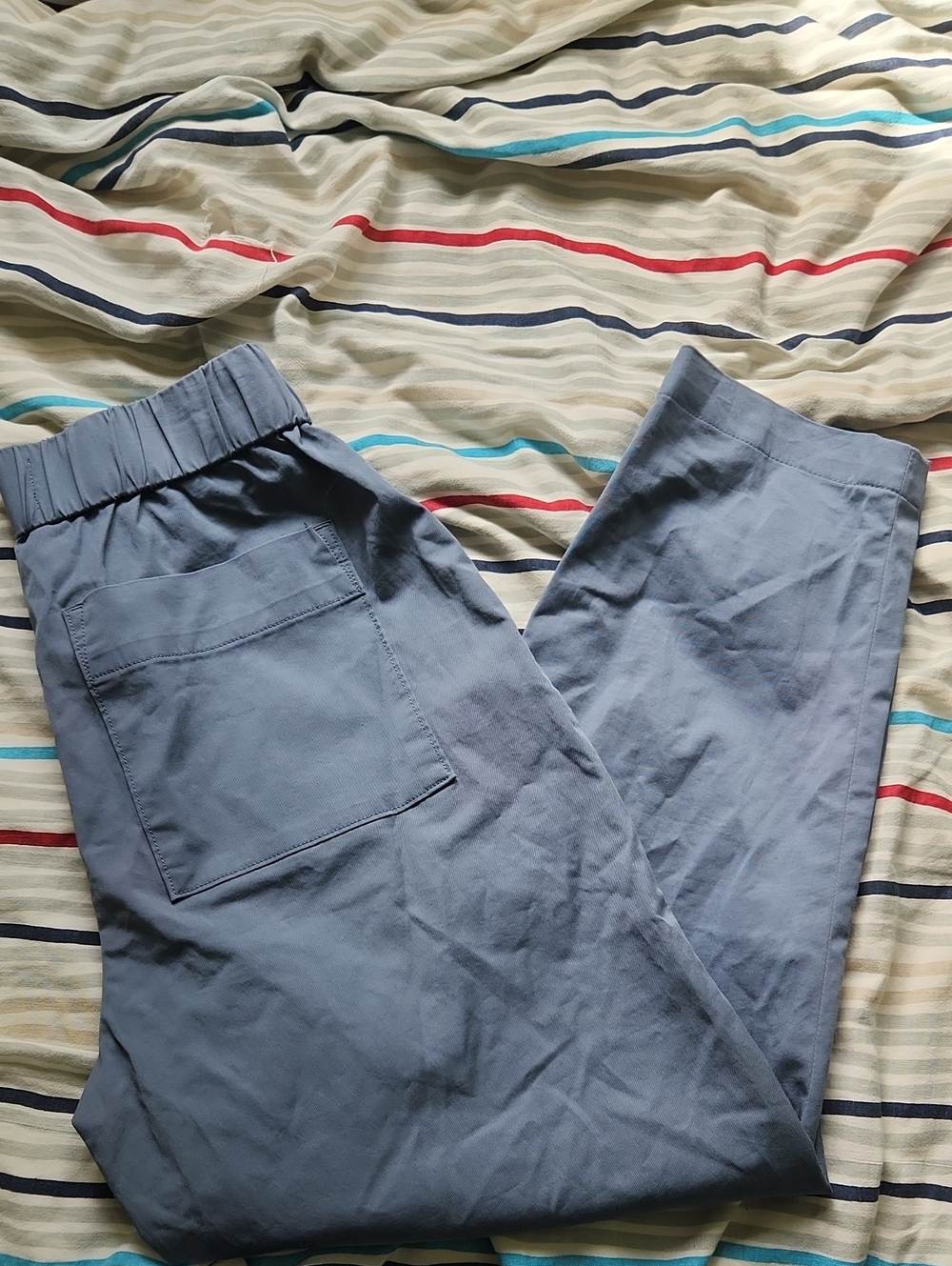 Everlane Pants Womens 6 Blue